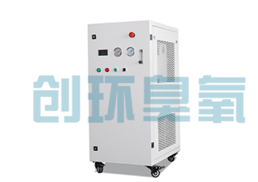 宜宾石斑鱼养殖水质调控完整指南：臭氧发生器配置与操作步骤