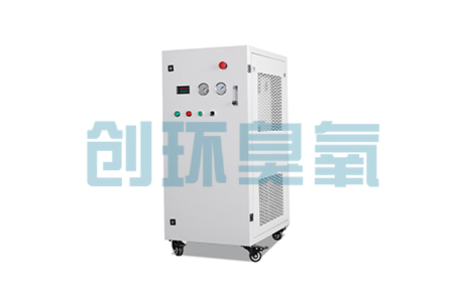宜宾比传统换水更高效？臭氧发生器在石斑鱼养殖中的水质净化原理解析
