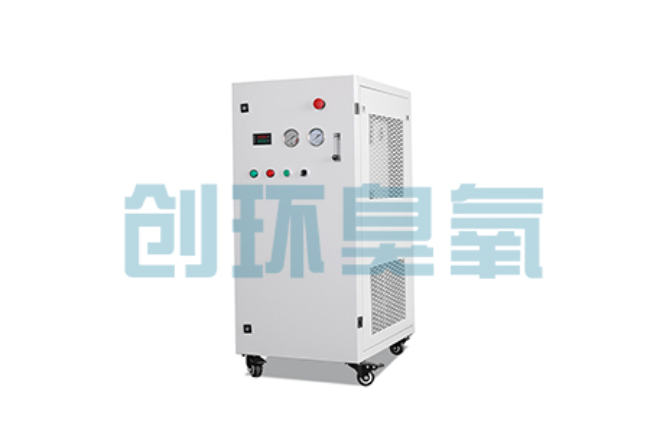 宜宾比传统换水更高效?臭氧发生器在石斑鱼养殖中的水质净化原理解析